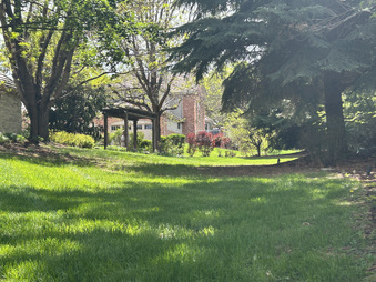 Enlarge photo 28