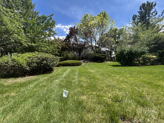 Enlarge photo 30