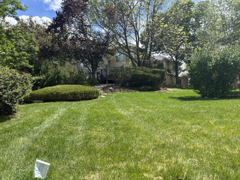 Enlarge photo 31