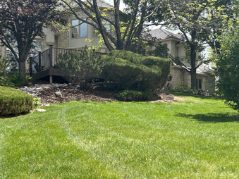 Enlarge photo 32