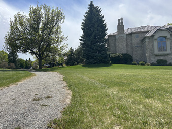 Enlarge photo 44