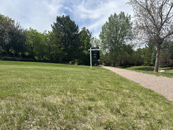 Enlarge photo 46