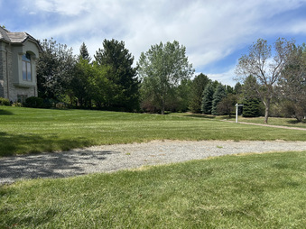 Enlarge photo 50