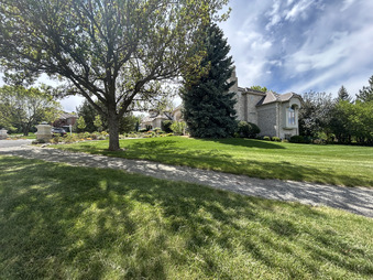 Enlarge photo 51