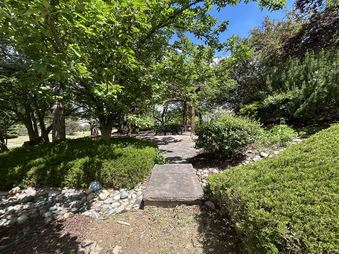 Enlarge photo 54