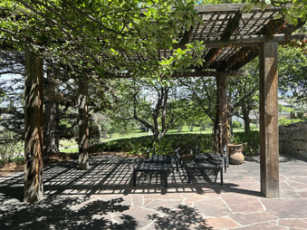 Enlarge photo 57