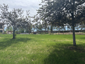 Enlarge photo 38