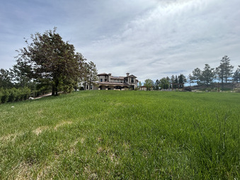 Enlarge photo 40