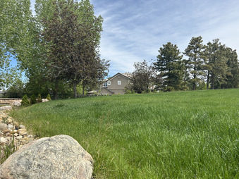 Enlarge photo 46