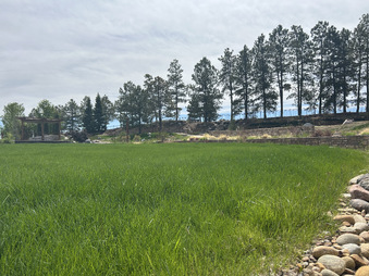 Enlarge photo 48