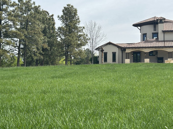 Enlarge photo 49