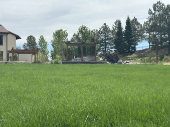 Enlarge photo 51