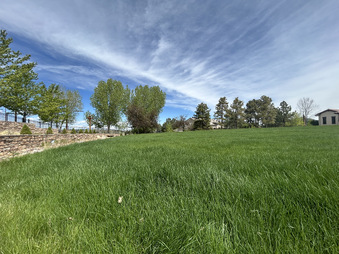 Enlarge photo 52