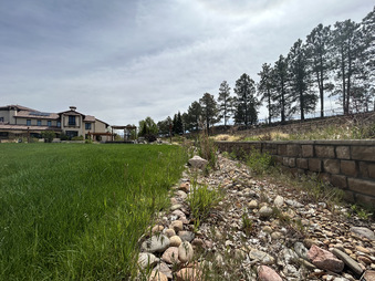 Enlarge photo 54