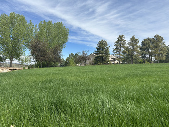 Enlarge photo 55