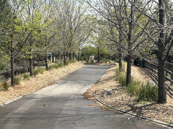 Enlarge photo 94