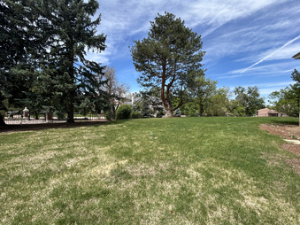 Enlarge photo 37