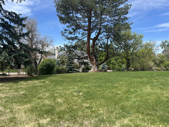 Enlarge photo 38