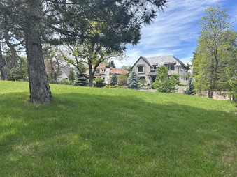 Enlarge photo 51