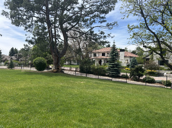 Enlarge photo 97
