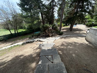 Enlarge photo 139