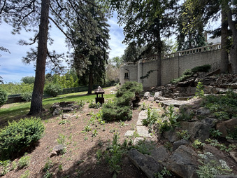 Enlarge photo 157
