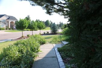Enlarge photo 49