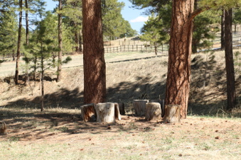 Enlarge photo 12