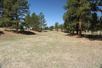 Enlarge photo 13