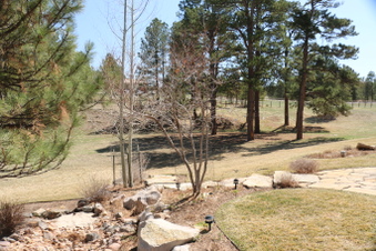 Enlarge photo 16