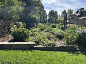 Enlarge photo 93