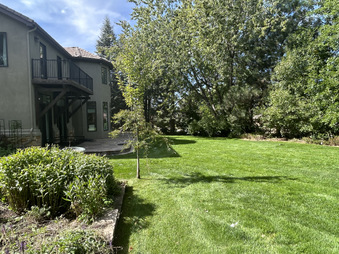 Enlarge photo 95