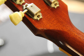 Enlarge photo 14