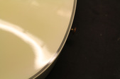 Enlarge photo 19