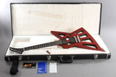 '09 Gibson Limited Edition Holy Explorer