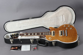 11 Gibson Les Paul AFD Appetite For Dest