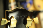 Enlarge photo 20