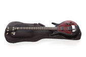1977 Gibson Ripper Bass 6592