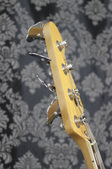 Enlarge photo 17