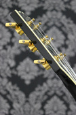 Enlarge photo 15
