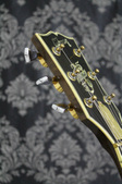 Enlarge photo 16