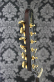 Enlarge photo 15