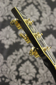 Enlarge photo 16