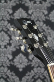 Enlarge photo 15