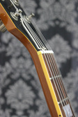 Enlarge photo 16