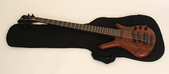 2001 Warwick Thumb 5NT