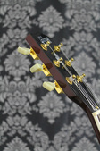 Enlarge photo 15