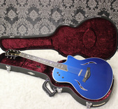 2006 Taylor T5 Custom
