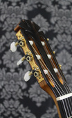 Enlarge photo 15