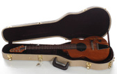 2009 Rick Turner Model 1 ERG Edition